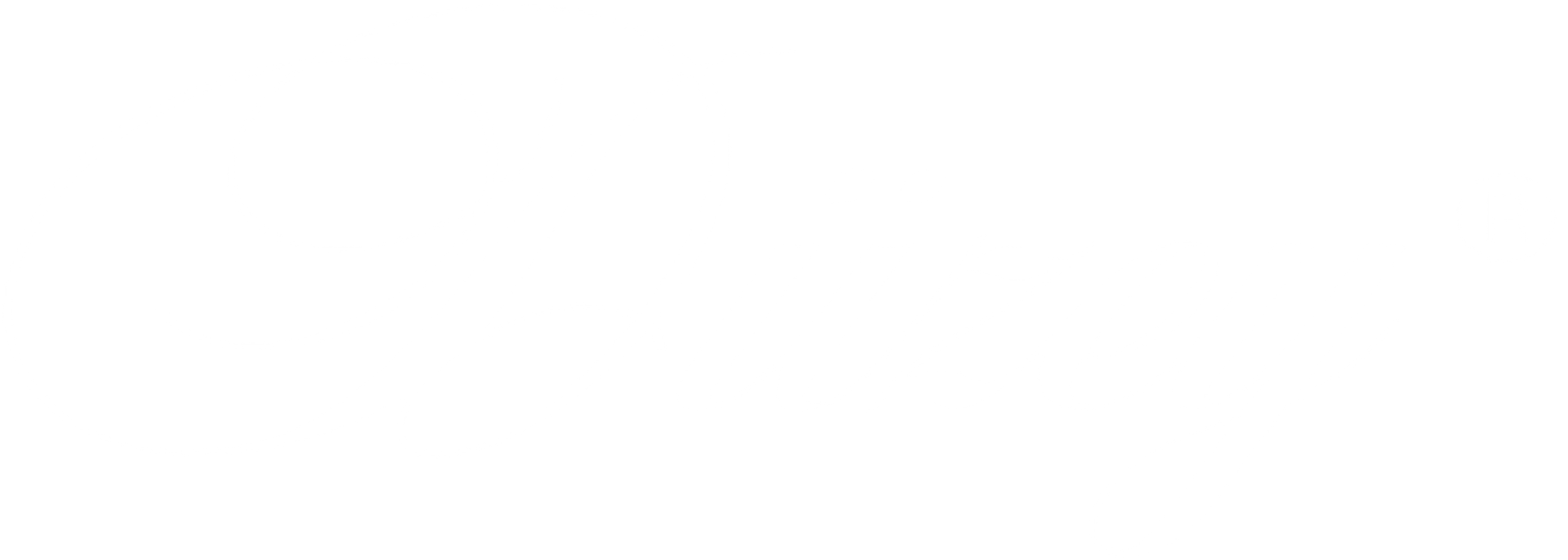 Duzey Logo